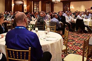 A professional rider on a horse